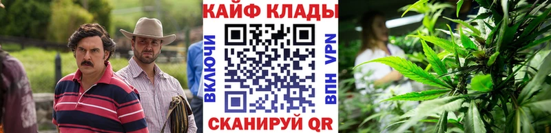 Наркошоп купить Альфа ПВП  Меф мяу мяу  Амфетамин  COCAIN  ГАШ  Колпашево