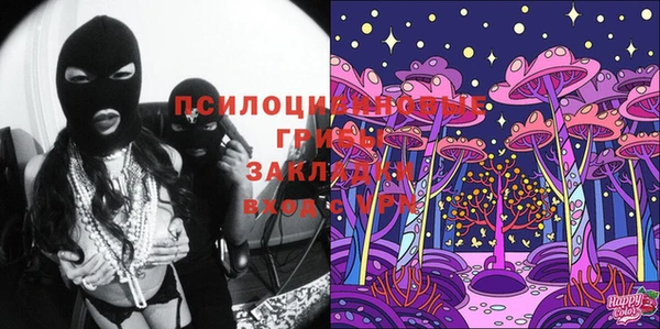 дурь Гусиноозёрск