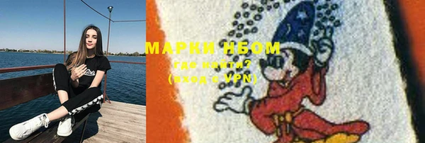 дурь Гусиноозёрск