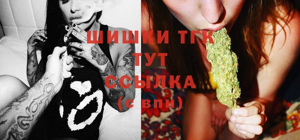 соль ск Гусь-Хрустальный
