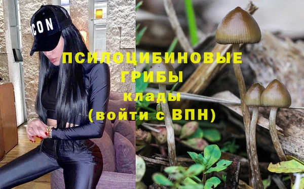 дурь Гусиноозёрск