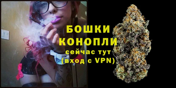 дурь Гусиноозёрск