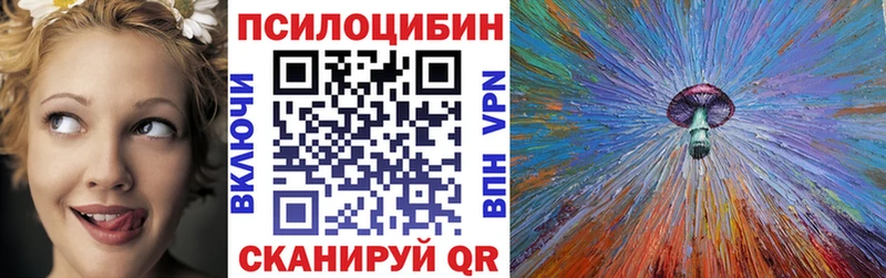 Псилоцибиновые грибы прущие грибы  Купить  Колпашево 